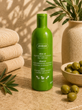 Shampooing Régénérant à l’Huile d’Olive – Ziaja | Cheveux Secs & Affaiblis – 400 ml - Ply'beauty