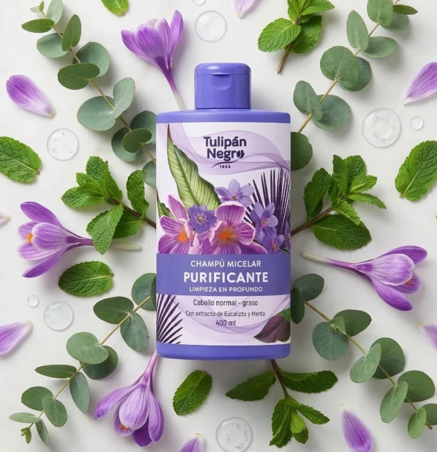 🩷 Shampoing Micellaire – Tulipán Negro (400 ml)