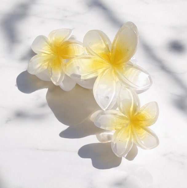 🌺 Pince Fleur Tropicale