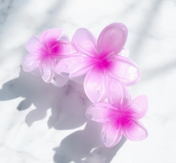 🌺 Pince Fleur Tropicale
