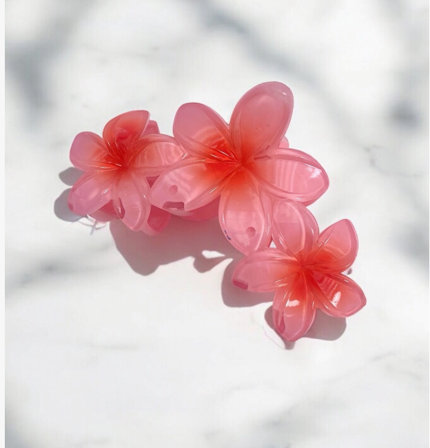🌺 Pince Fleur Tropicale