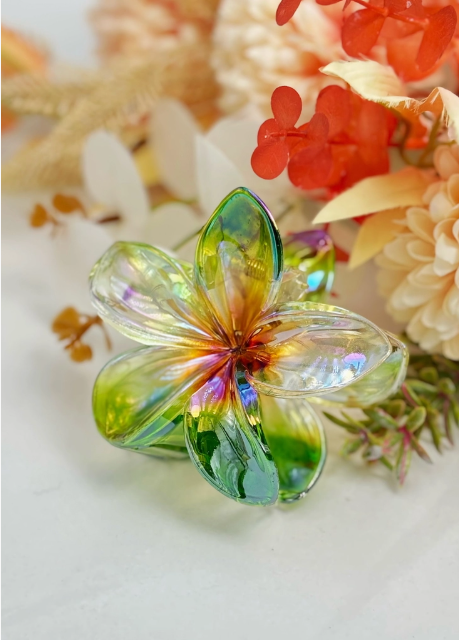 🌺 Pince Fleur Holographique