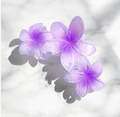 🌺 Pince Fleur Tropicale - Ply'beauty