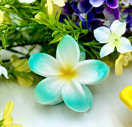 🌺 Pince Fleur Tropicale