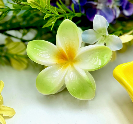 🌺 Pince Fleur Tropicale