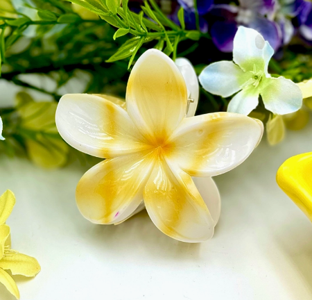 🌺 Pince Fleur Tropicale